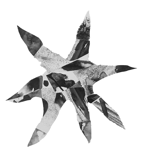 estrella 1